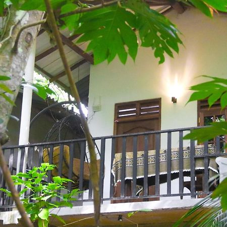 Nature Glow Cottage ウダワラウェ エクステリア 写真