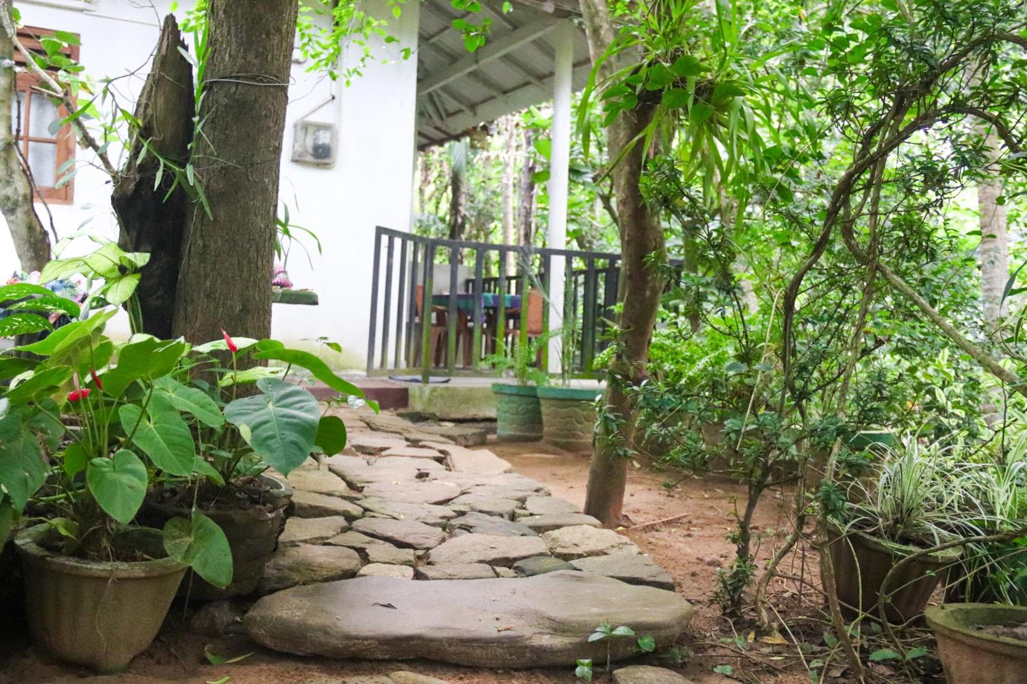 Nature Glow Cottage ウダワラウェ エクステリア 写真