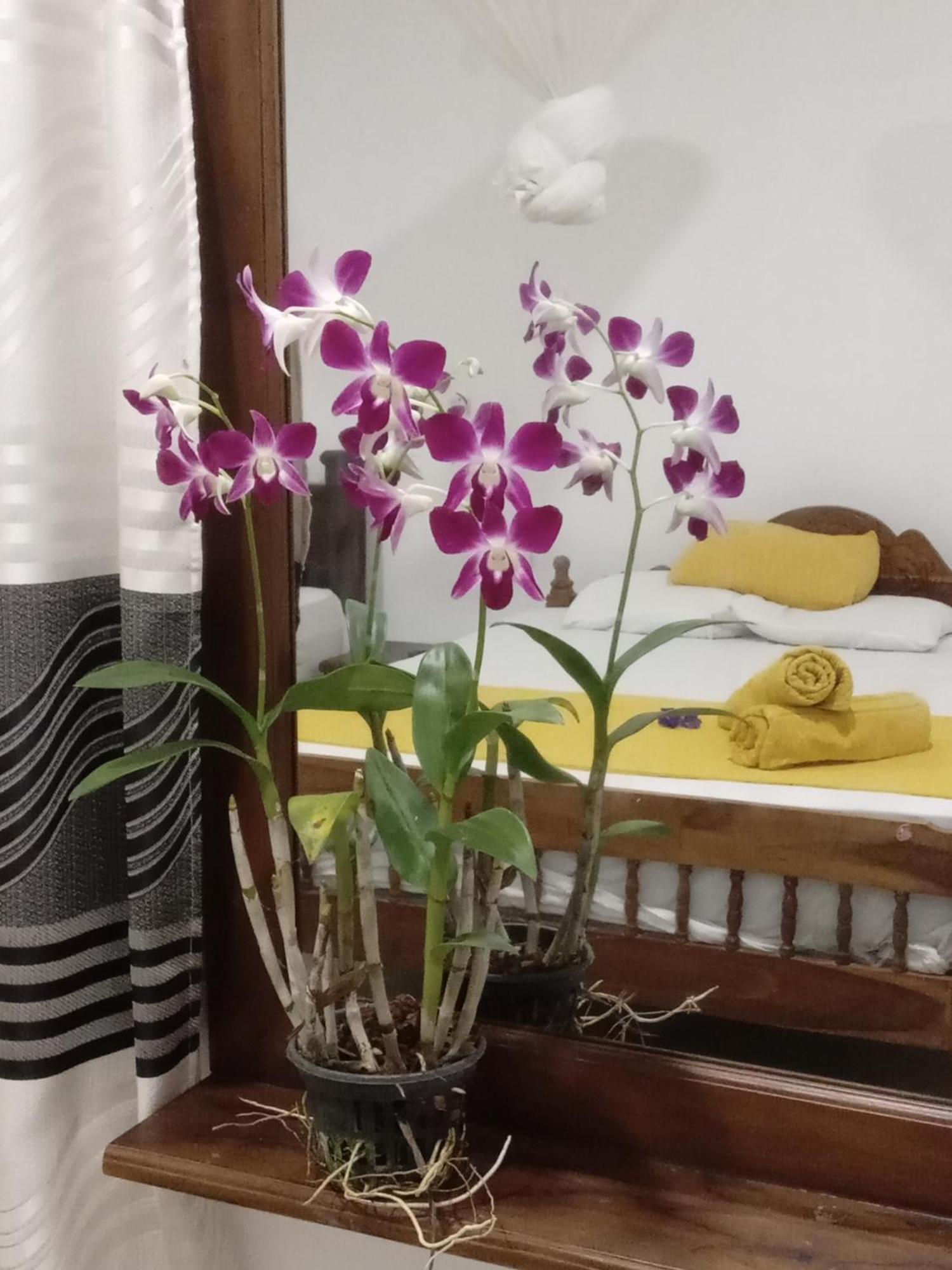 Nature Glow Cottage ウダワラウェ エクステリア 写真
