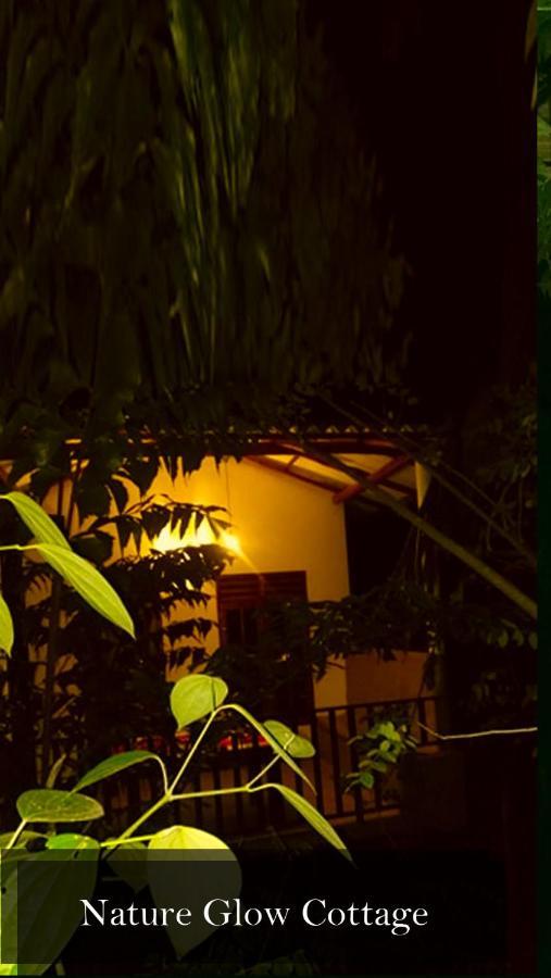 Nature Glow Cottage ウダワラウェ エクステリア 写真