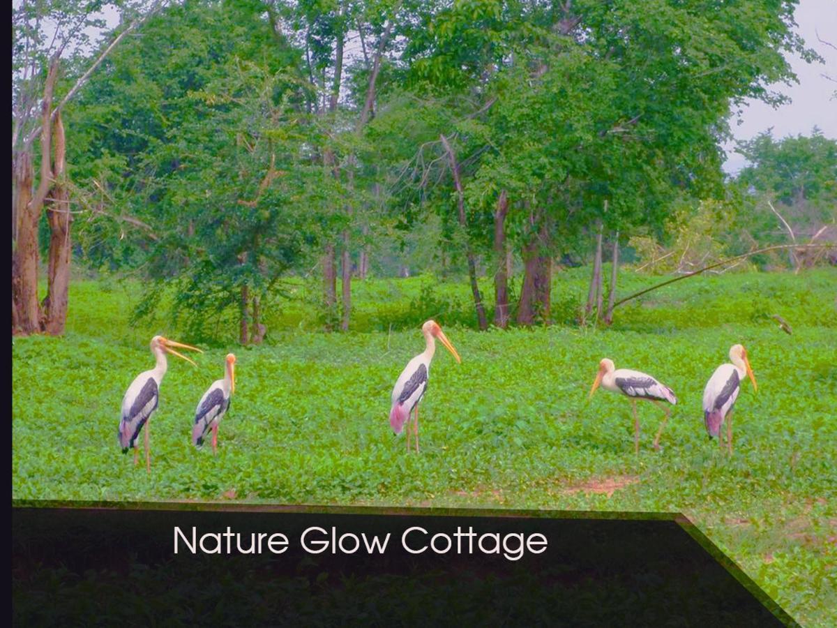 Nature Glow Cottage ウダワラウェ エクステリア 写真